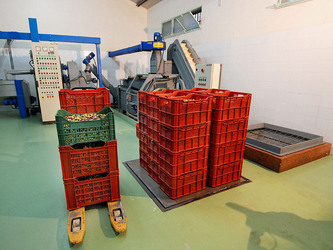 TIPICO FRANTOIO fotografie di Giulio Azzarello ©2014. TIPICO FRANTOIO fotografie di Giulio Azzarello ©2014.