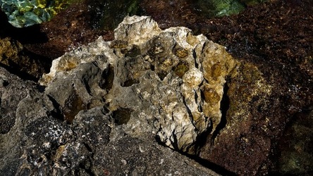 BAIA DEL CORALLO. Fotografie di Giulio Azzarello &copy;2022.