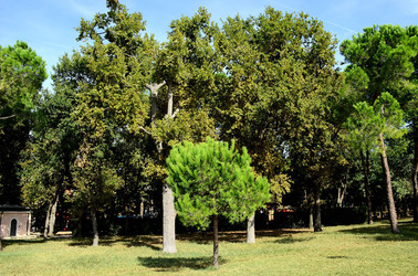 GIARDINI della BIENNALE a Venezia. Foto di Giulio Azzarello &copy;2015 2016.