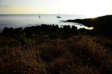 ISOLA DI USTICA la costa. Fotografie di Giulio Azzarello &copy;2016.