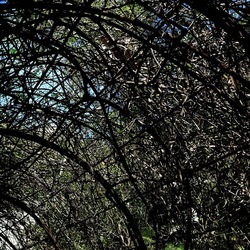 Arabo Normanno. Fotografie di Giulio Azzarello ©2024. Arabo Normanno. Fotografie di Giulio Azzarello ©2024.