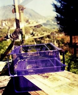 STILL LIFE ASSURDI fotografie di Giulio Azzarello ©2022. STILL LIFE ASSURDI fotografie di Giulio Azzarello ©2022.