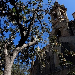 Arabo Normanno. Fotografie di Giulio Azzarello ©2024. Arabo Normanno. Fotografie di Giulio Azzarello ©2024.