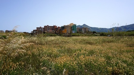 BARCHE. Fotografie di Giulio Azzarello ©2022.