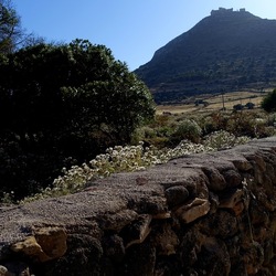 BESTIE. Fotografie di Giulio Azzarello ©2022. BESTIE. Fotografie di Giulio Azzarello ©2022.