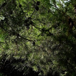 SELINUNTE. Fotografie di Giulio Azzarello ©2022. SELINUNTE. Fotografie di Giulio Azzarello ©2022.