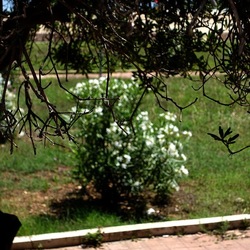 SAN VITO LO CAPO. Fotografie di Giulio Azzarello &copy;2023.