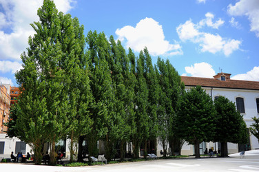 MUSEO MAXXI contemporaneo a Roma panoramiche e particolari. Fotografie di Giulio Azzarello ©2014. MUSEO MAXXI contemporaneo a Roma panoramiche e particolari. Fotografie di Giulio Azzarello ©2014.