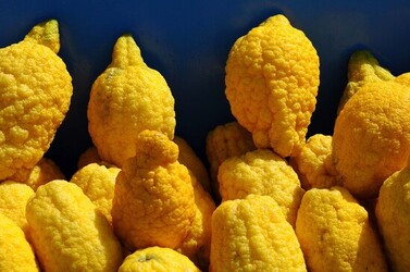 MONDELLO in Sicilia a Palermo. Fotografie di Giulio Azzarello ©2014.