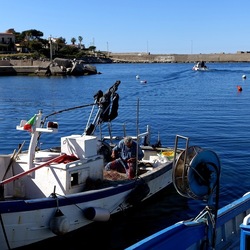 ISOLA. Fotografie di Giulio Azzarello &copy;2024.