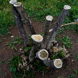 TRONCHI. Fotografie di Giulio Azzarello ©2022.