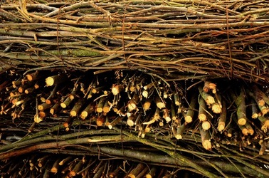 BIENNALE di ARCHITETTURA di VENEZIA giugno 2018. Foto di G.Azzarello ©2018. BIENNALE di ARCHITETTURA di VENEZIA giugno 2018. Foto di G.Azzarello ©2018.