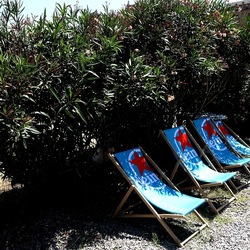 PALERMO. Fotografie di Giulio Azzarello &copy;2023.