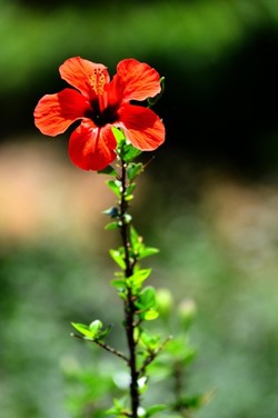 HABITAT NATURA in campagna. Fotografie di Giulio Azzarello ©2015 2016. HABITAT NATURA in campagna. Fotografie di Giulio Azzarello ©2015 2016.