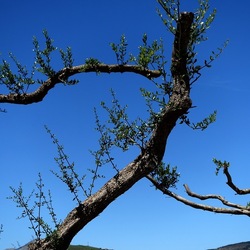 SEGESTA. Fotografie di Giulio Azzarello ©2024. SEGESTA. Fotografie di Giulio Azzarello ©2024.