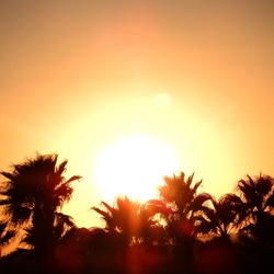 SELINUNTE. Fotografie di Giulio Azzarello ©2022. SELINUNTE. Fotografie di Giulio Azzarello ©2022.