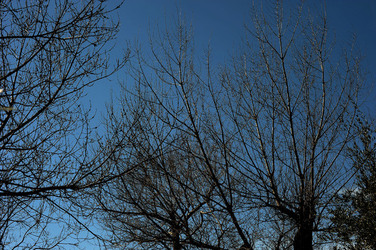 PAESAGGIO CATANESE panoramiche e particolari. Fotografie di Giulio Azzarello &copy;2014.