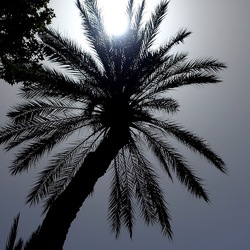 PALERMO. Fotografie di Giulio Azzarello &copy;2022.