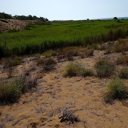 SELINUNTE. Fotografie di Giulio Azzarello ©2022. SELINUNTE. Fotografie di Giulio Azzarello ©2022.