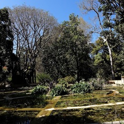 ORTO BOTANICO DI PALERMO. Fotografie di Giulio Azzarello ©2022. ORTO BOTANICO DI PALERMO. Fotografie di Giulio Azzarello ©2022.