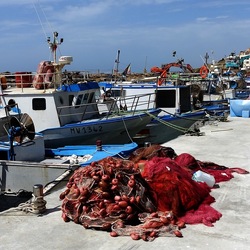 SELINUNTE. Fotografie di Giulio Azzarello &copy;2022.