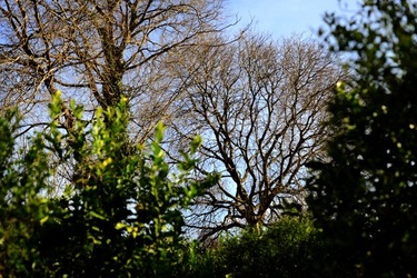 CAMPAGNA fotografie di Giulio Azzarello ©2020.