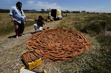 ARTE CONTEMPORANEA A PIRGI sito e riserva archeologica. Fotografie di Giulio Azzarello &copy;2014.