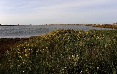 LE SALINE di Trapani in Sicilia. Fotografie di Giulio Azzarello ©2014. LE SALINE di Trapani in Sicilia. Fotografie di Giulio Azzarello ©2014.