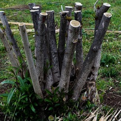 TRONCHI. Fotografie di Giulio Azzarello ©2022.