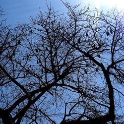 Arabo Normanno. Fotografie di Giulio Azzarello ©2024. Arabo Normanno. Fotografie di Giulio Azzarello ©2024.