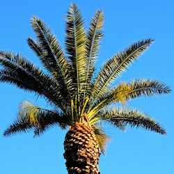 MONDELLO di inverno. Fotografie di Giulio Azzarello &copy;2016.