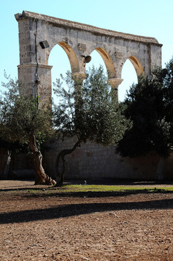 LA CITTA SANTA DI GERUSALEMME fotografie di Giulio Azzarello ©2104. LA CITTA SANTA DI GERUSALEMME fotografie di Giulio Azzarello ©2104.