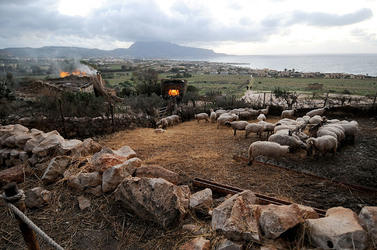 IL PRESEPE VIVENTE DI CUSTONACI in Sicilia. Fotografie di Giulio Azzarello ©2014. IL PRESEPE VIVENTE DI CUSTONACI in Sicilia. Fotografie di Giulio Azzarello ©2014.