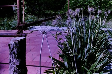 DIGITALIZZAZIONI fotografie di Giulio Azzarello &copy;2020.