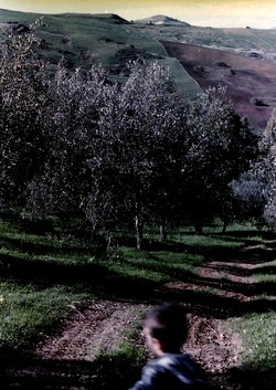 DIGITALIZZAZIONI fotografie di Giulio Azzarello &copy;2020.