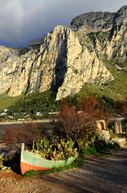 MACCHIA MEDITERRANEA in Sicilia. Fotografie di Giulio Azzarello &copy;2106.