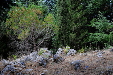 IL PARCO DELLE MADONIE da Polizzi Generosa in Sicilia. Fotografie di Giulio Azzarello &copy;2014.