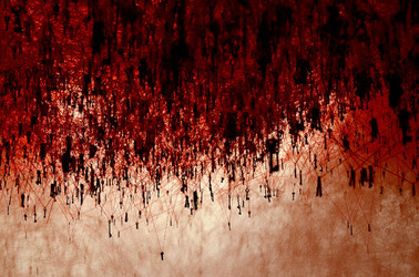 BIENNALE di VENEZIA padiglione giapponese. Foto di Giulio Azzarello &copy;2015 2016. Opera di Chiharu Shiota The KEY in the HAND .