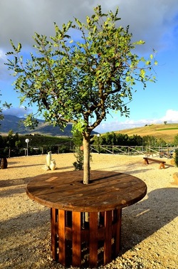 SEGESTA sito archeologico. Fotografie di Giulio Azzarello ©2018.