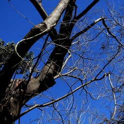 ORTO BOTANICO DI PALERMO. Fotografie di Giulio Azzarello ©2022. ORTO BOTANICO DI PALERMO. Fotografie di Giulio Azzarello ©2022.