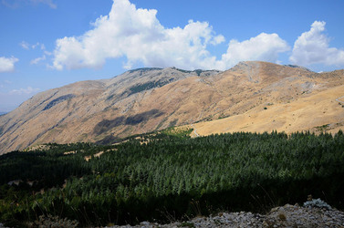 IL PARCO DELLE MADONIE da Polizzi Generosa in Sicilia. Fotografie di Giulio Azzarello &copy;2014.