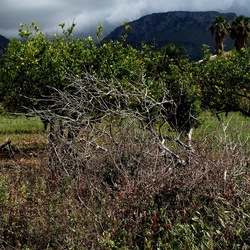 CAMMINANDO. Fotografie di Giulio Azzarello &copy;2024.