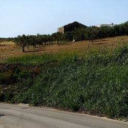 SELINUNTE. Fotografie di Giulio Azzarello ©2022. SELINUNTE. Fotografie di Giulio Azzarello ©2022.