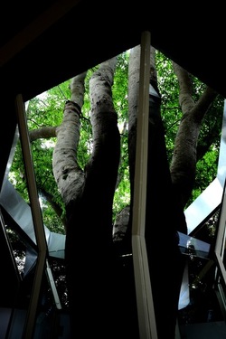 BIENNALE di VENEZIA Arte Contemporanea Giardini. Fotografie di Giulio Azzarello &copy;2020.