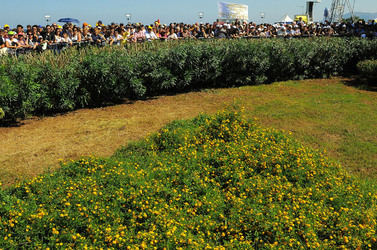 IL PAPA A PALERMO Papa Bendetto XVI. Fotografie di Giulio Azzarello ©2010 14.