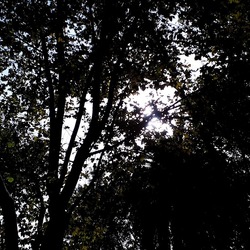 ROMA fotografie di Giulio Azzarello &copy;2022.