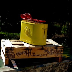 TOAST. Fotografie di Giulio Azzarello &copy;2025.