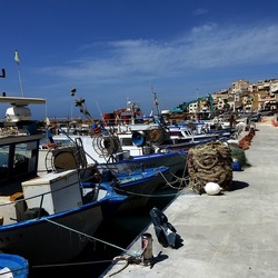 SELINUNTE. Fotografie di Giulio Azzarello &copy;2022.