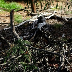 SELINUNTE. Fotografie di Giulio Azzarello ©2022. SELINUNTE. Fotografie di Giulio Azzarello ©2022.