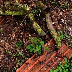 AUTUNNO fotografie di Giulio Azzarello ©2021. AUTUNNO fotografie di Giulio Azzarello ©2021.